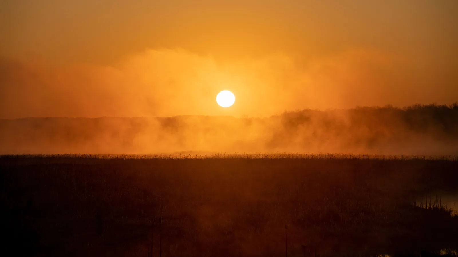 Zon komt op boven een mistig veld, het licht kleurt de nevel oranje