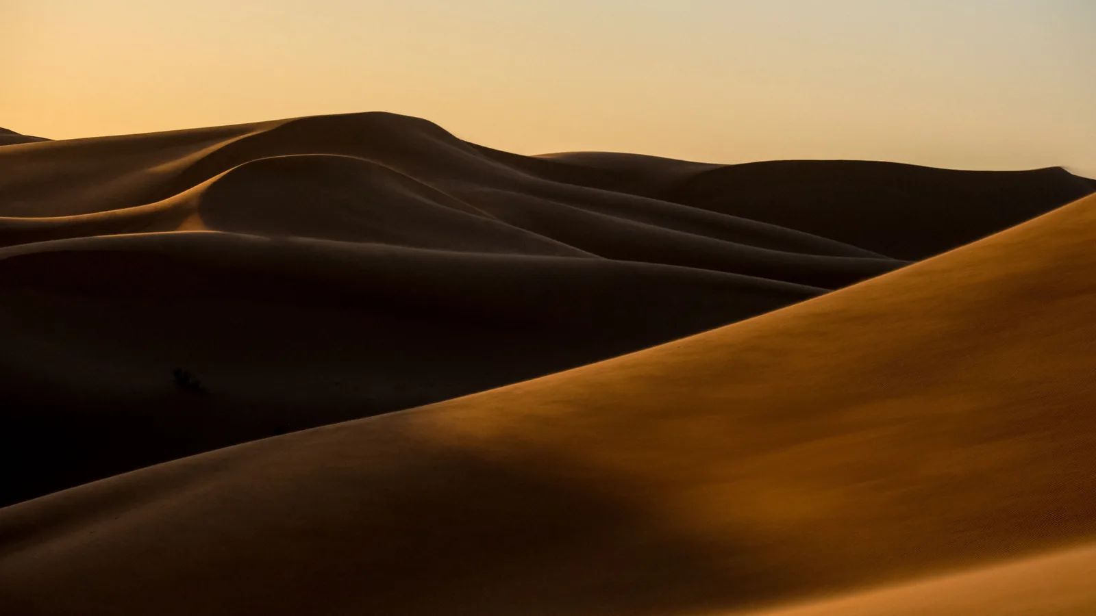 Zandduinen achter elkaar in de woestijn, over de kam loopt de grens tussen licht en schaduw